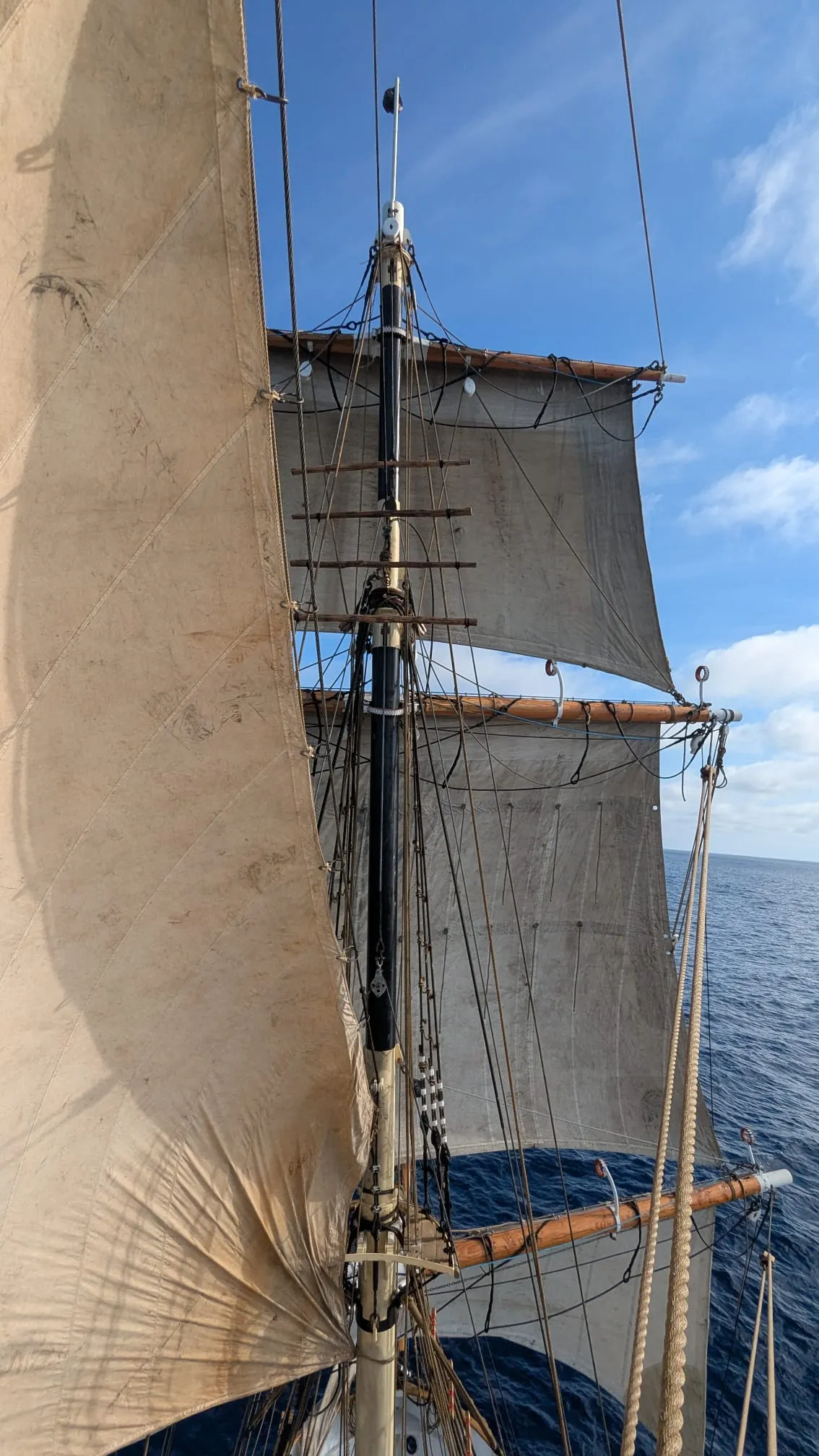 Greenhand crew completing up-and-over training, climbing aloft on the rigging