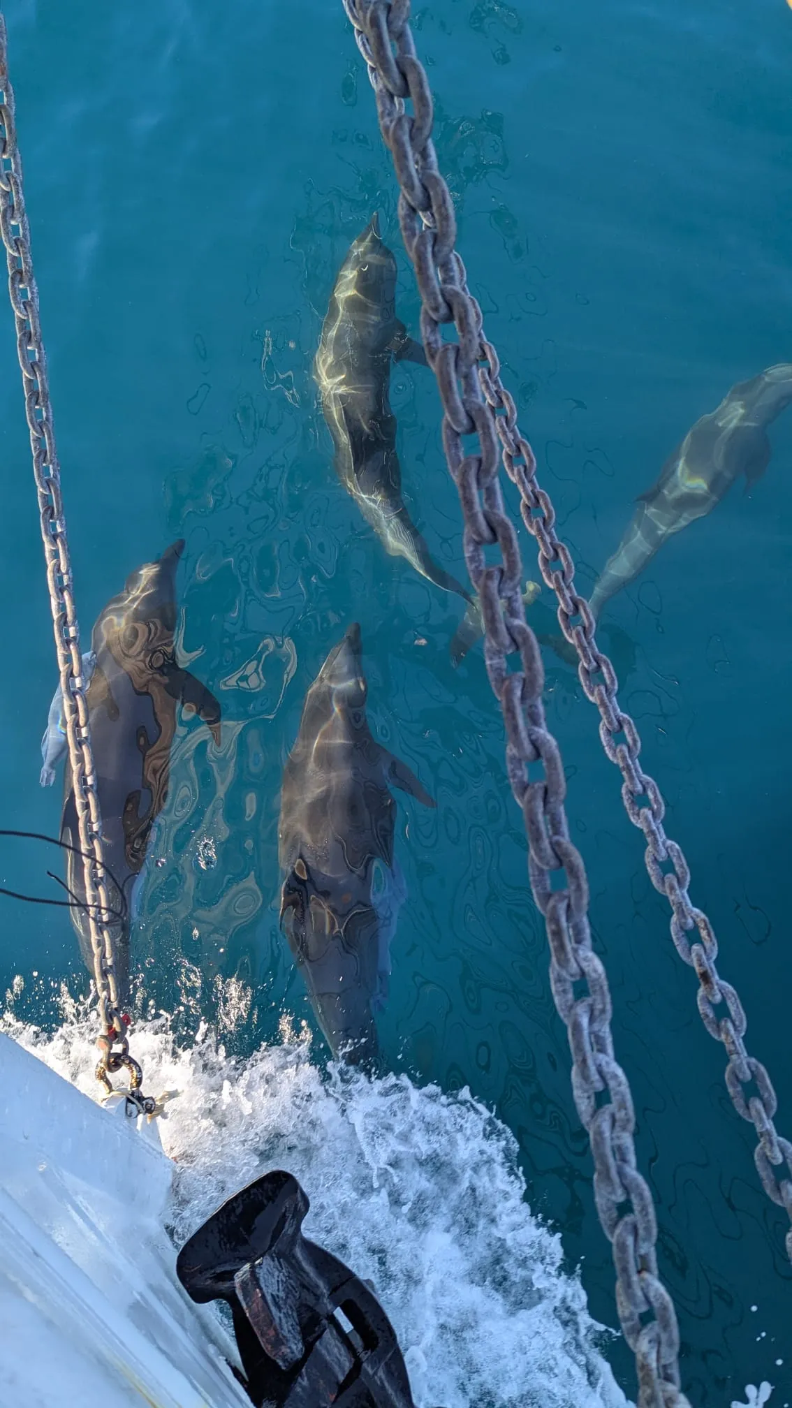 NEPTUN under sail on departure day from Mazatlán, May 17th, beginning the Pacific voyage