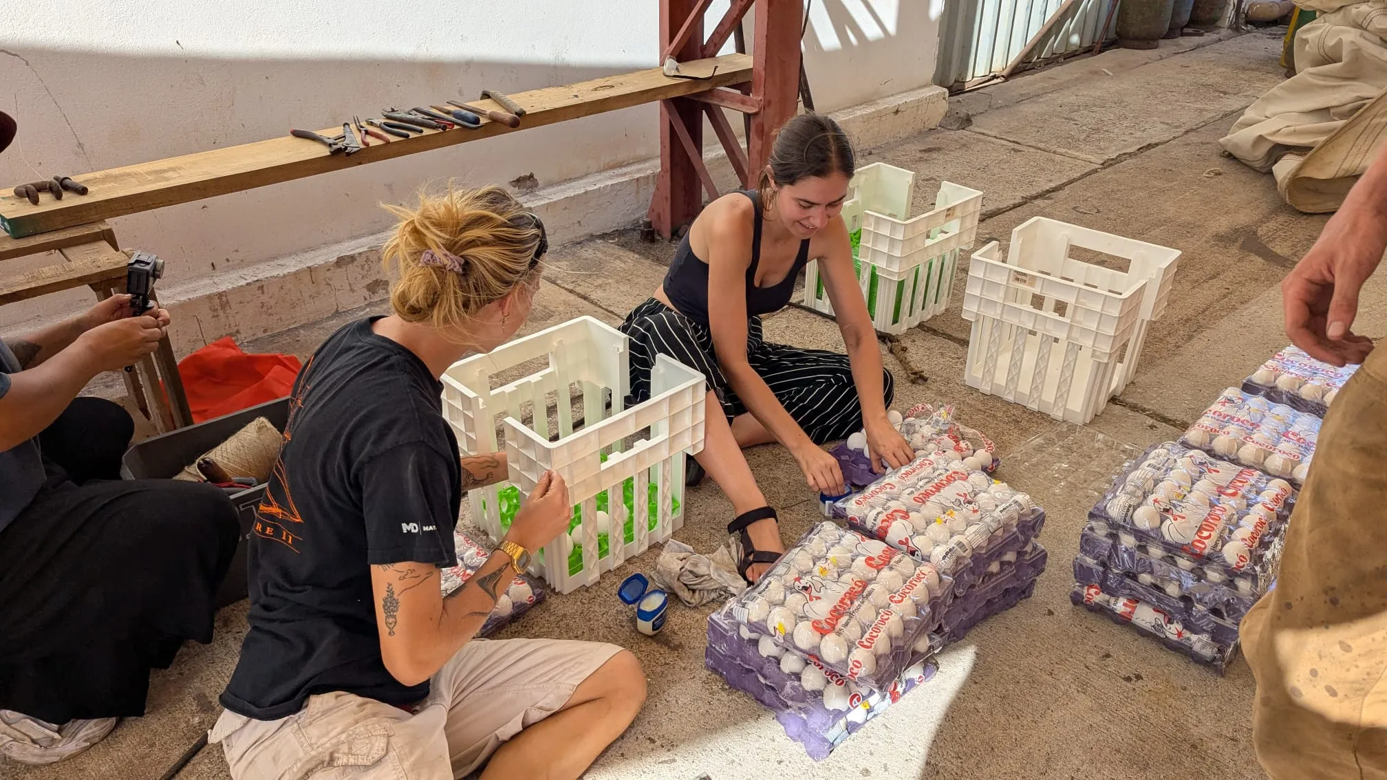 Crew coating 600 eggs in Vaseline to preserve them without refrigeration during provisioning