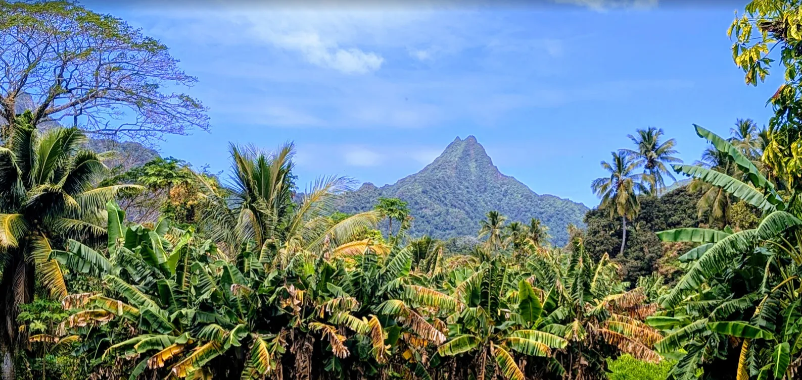 Volcanic peak rising above the lush green interior of Rarotonga