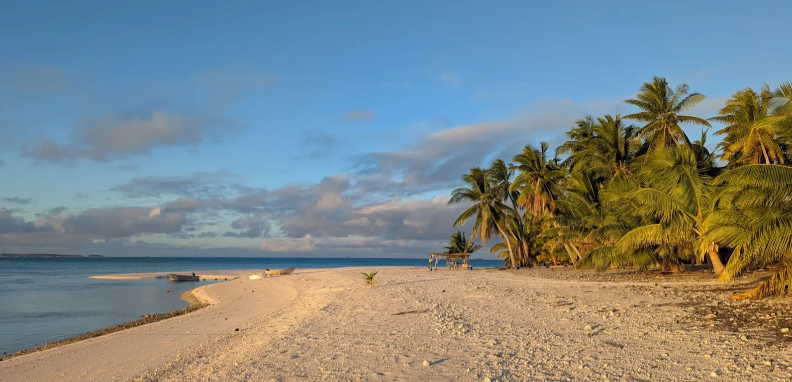 White sand beach lined with coconut palms inside Palmerston's reef