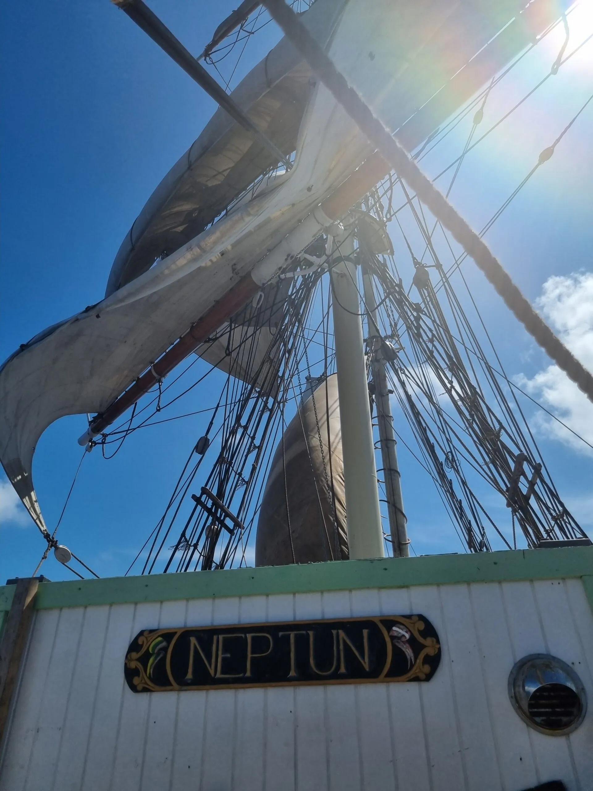 Crew harnessed aloft on NEPTUN learning the choreography of the sails