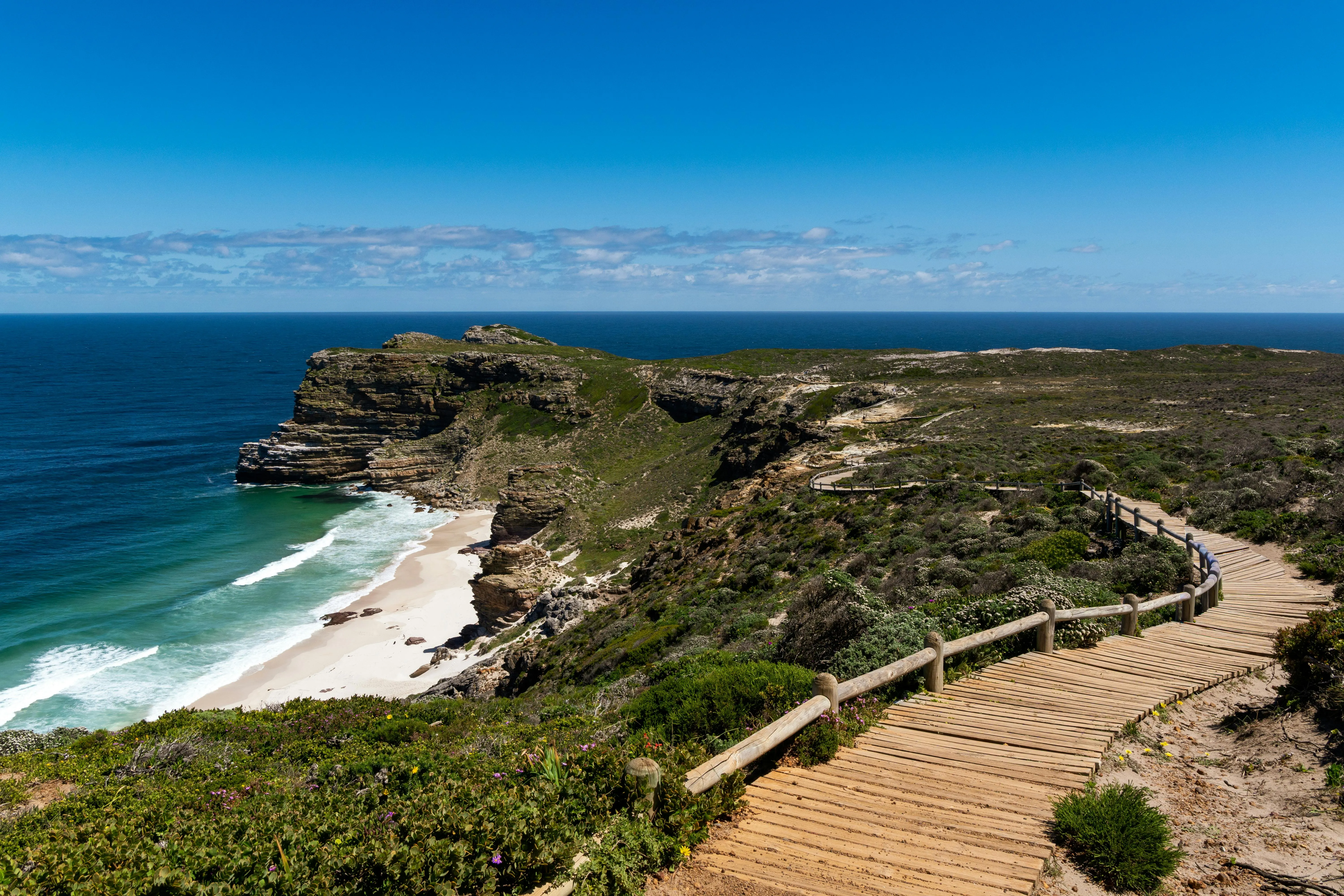 The cliffs and wooden pathway at Cape Point, the last stone shoulder of Africa before the Southern Ocean begins.