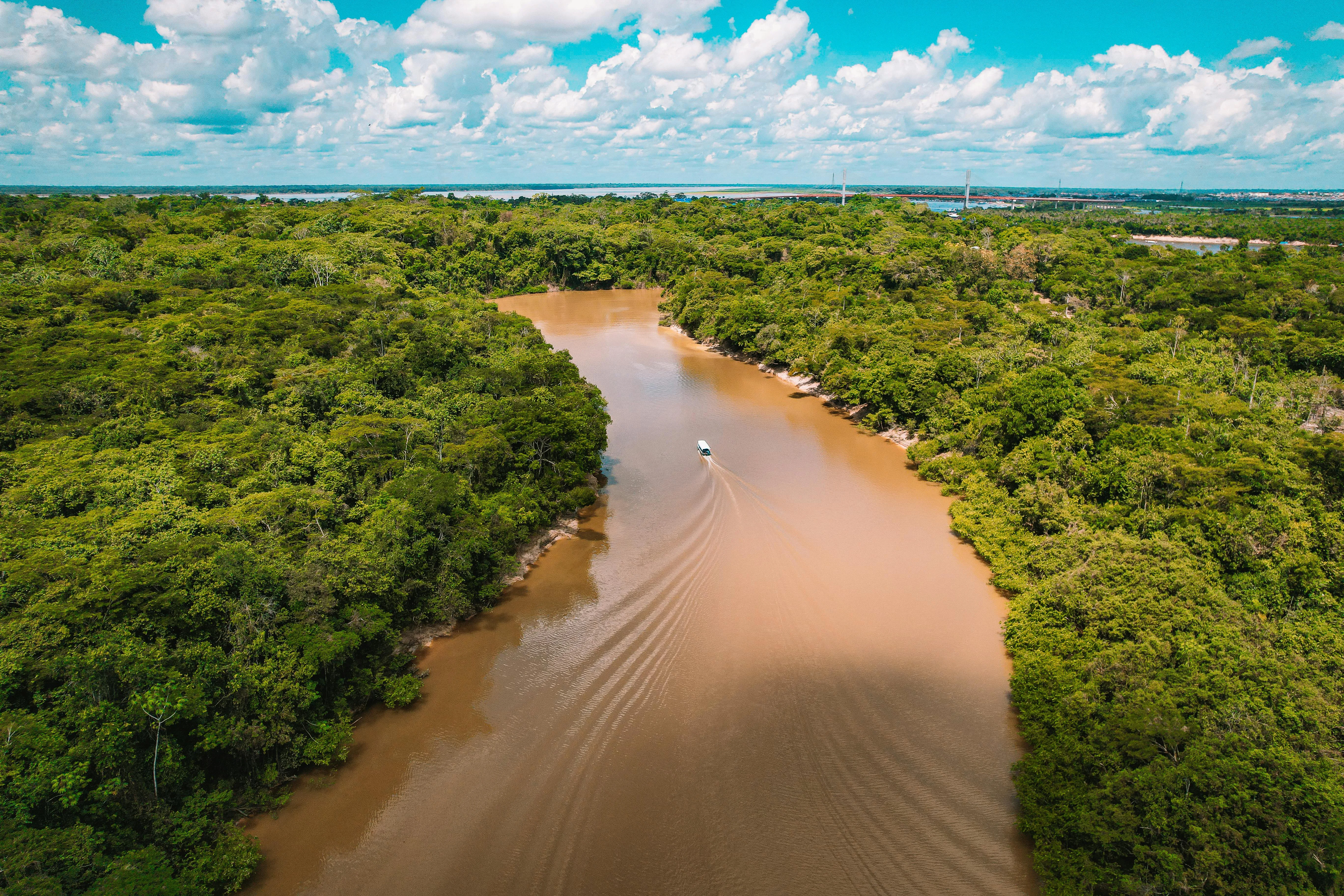 The Amazon pushes its brown plume more than a hundred miles out to sea, you smell the rainforest before you see the stain on the ocean.